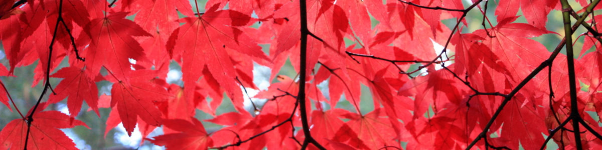 Sandra is an inspiration to me